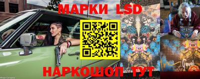 apvp Славгород