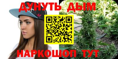 apvp Славгород