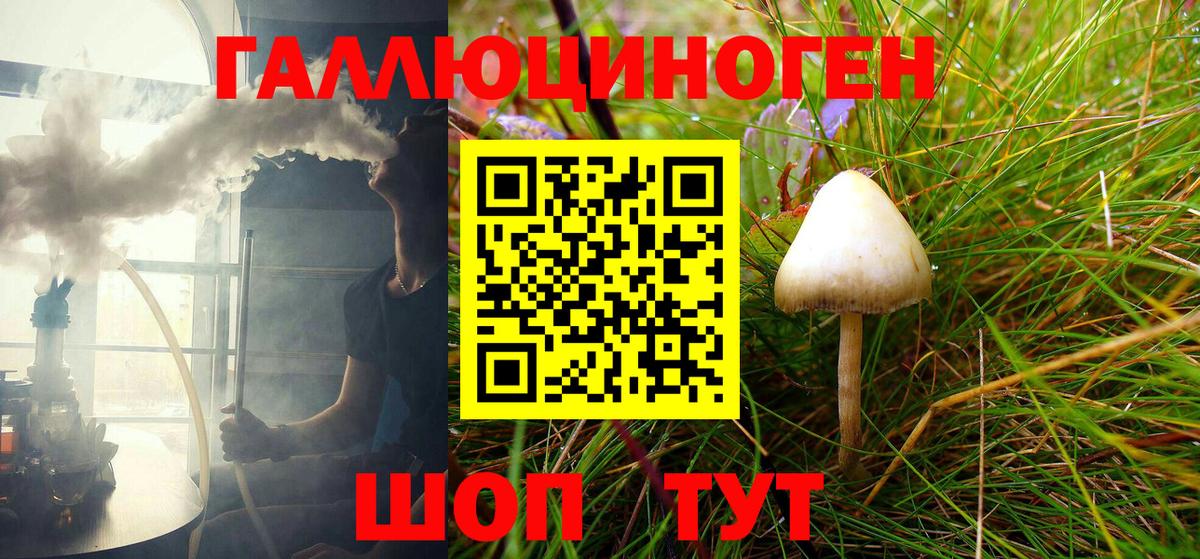 Галлюциногенные грибы Cubensis Борзя